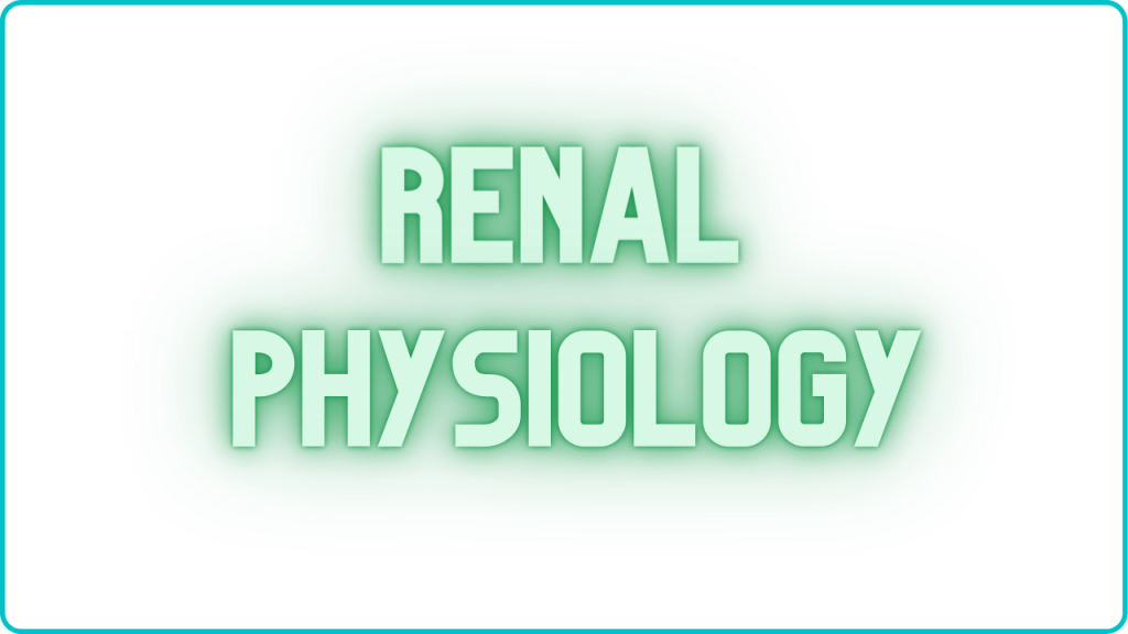renal-physiology